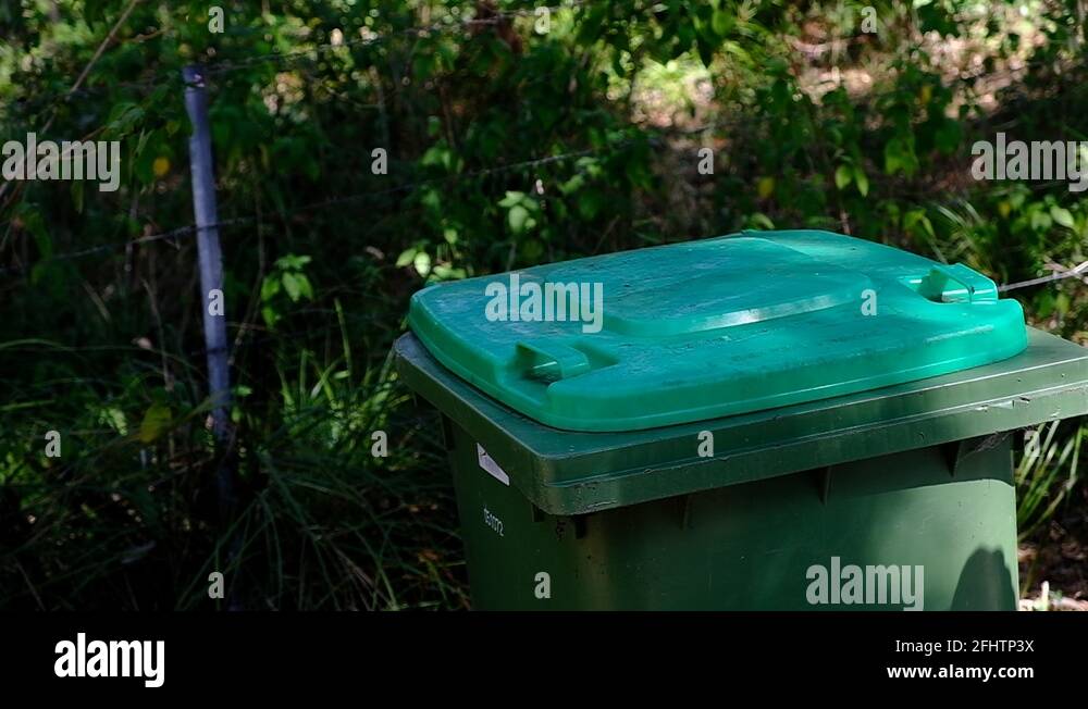 Green landfill bin Stock Videos & Footage HD and 4K Video Clips Alamy