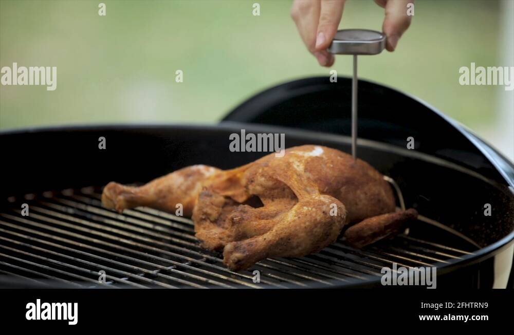 Broiler temperature Stock Videos & Footage HD and 4K Video Clips Alamy