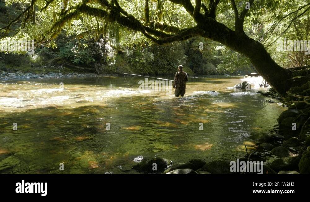 Remote new zealand Stock Videos & Footage HD and 4K Video Clips Alamy