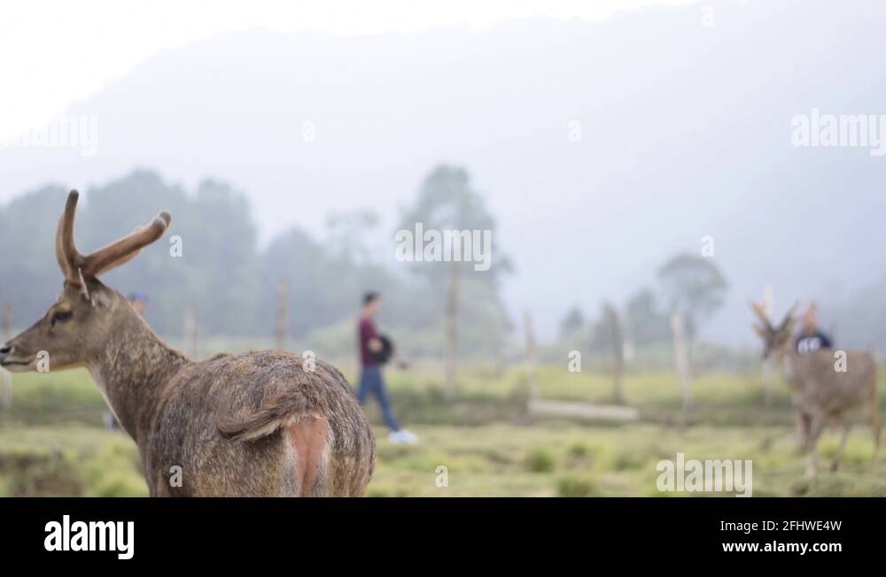 People interacting with nature Stock Videos Footage HD and 4K Video