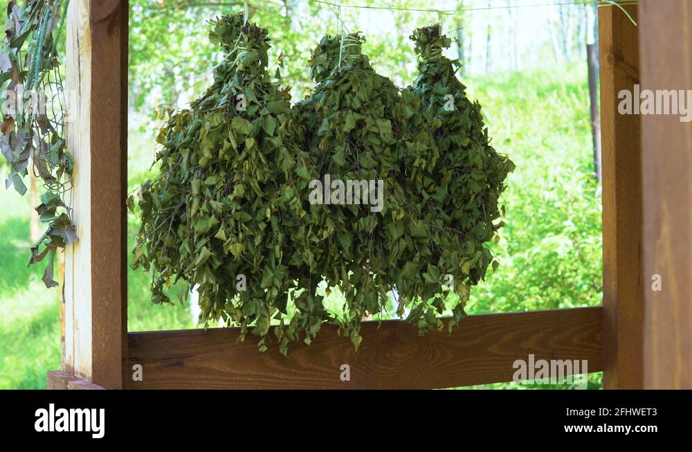Dry birch leaf Stock Videos & Footage HD and 4K Video Clips Alamy