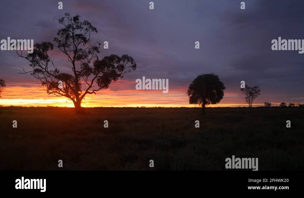 Food shortage australia Stock Videos & Footage HD and 4K Video Clips