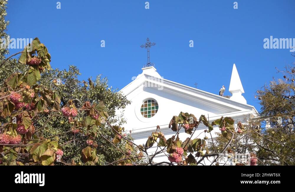 Nest roof portugal Stock Videos & Footage HD and 4K Video Clips Alamy