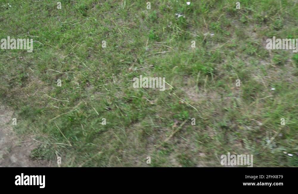 Speakers point of view Stock Videos & Footage HD and 4K Video Clips