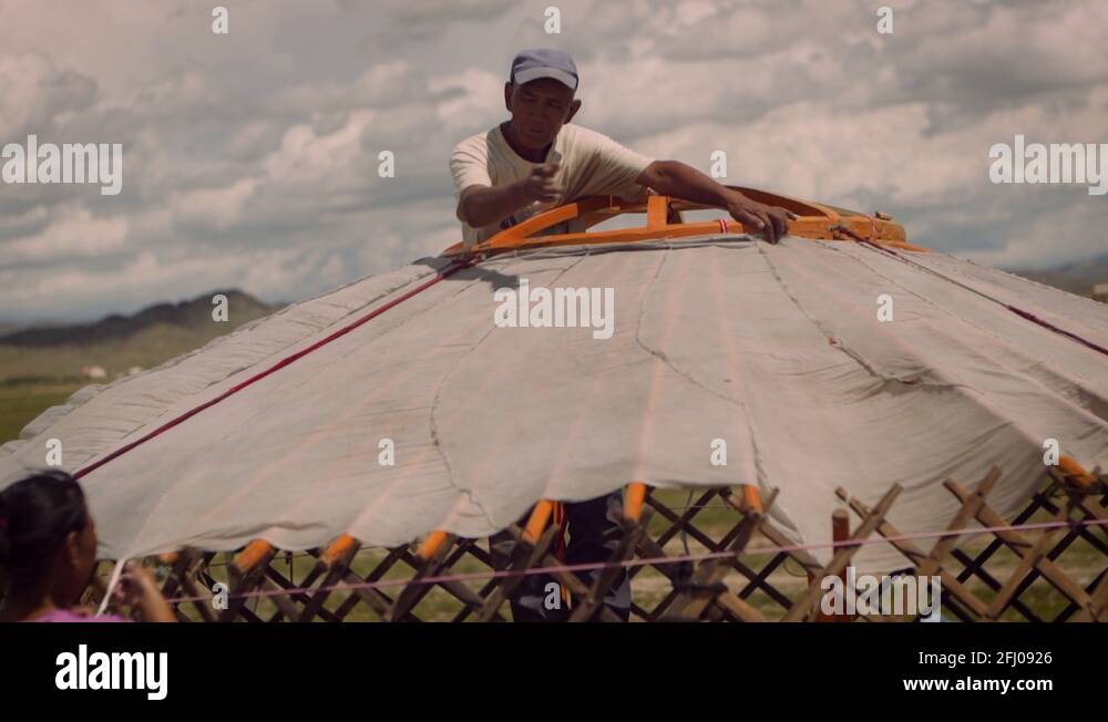 Mongolian nomad people set up a new ger, traditional tent house, in the ...