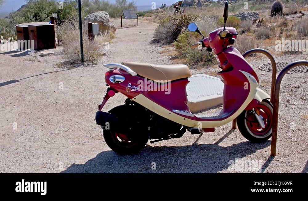 Buddy 150 Stock Videos & Footage HD and 4K Video Clips Alamy