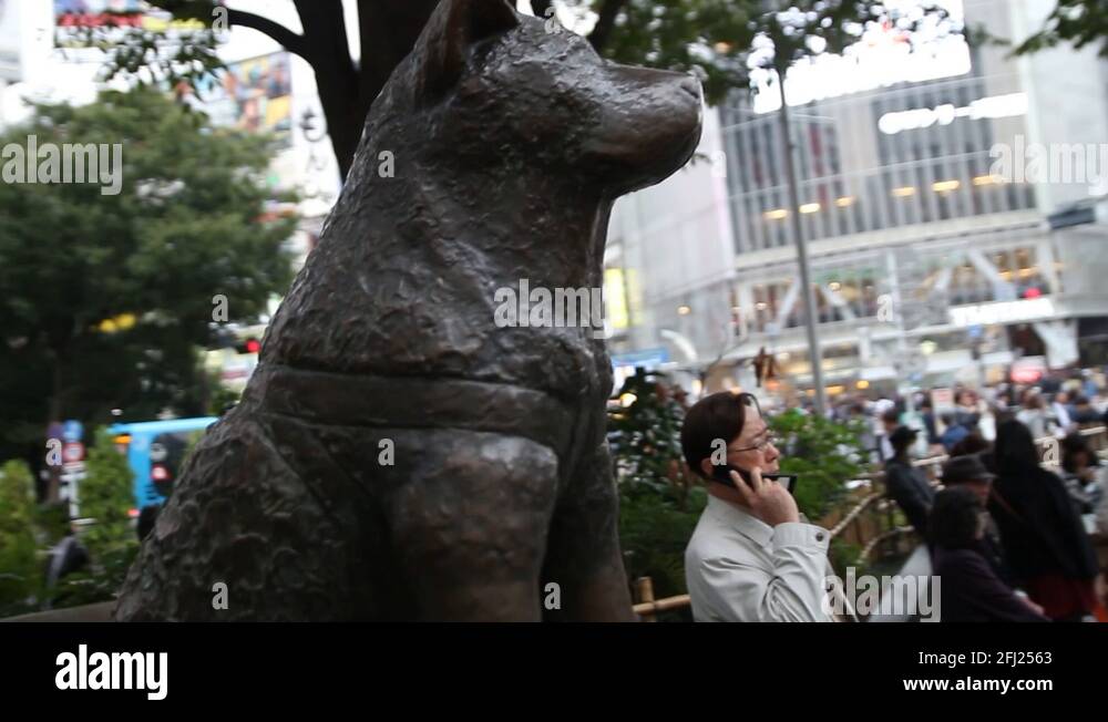 Hachiko dog statue memorial Stock Videos & Footage HD and 4K Video