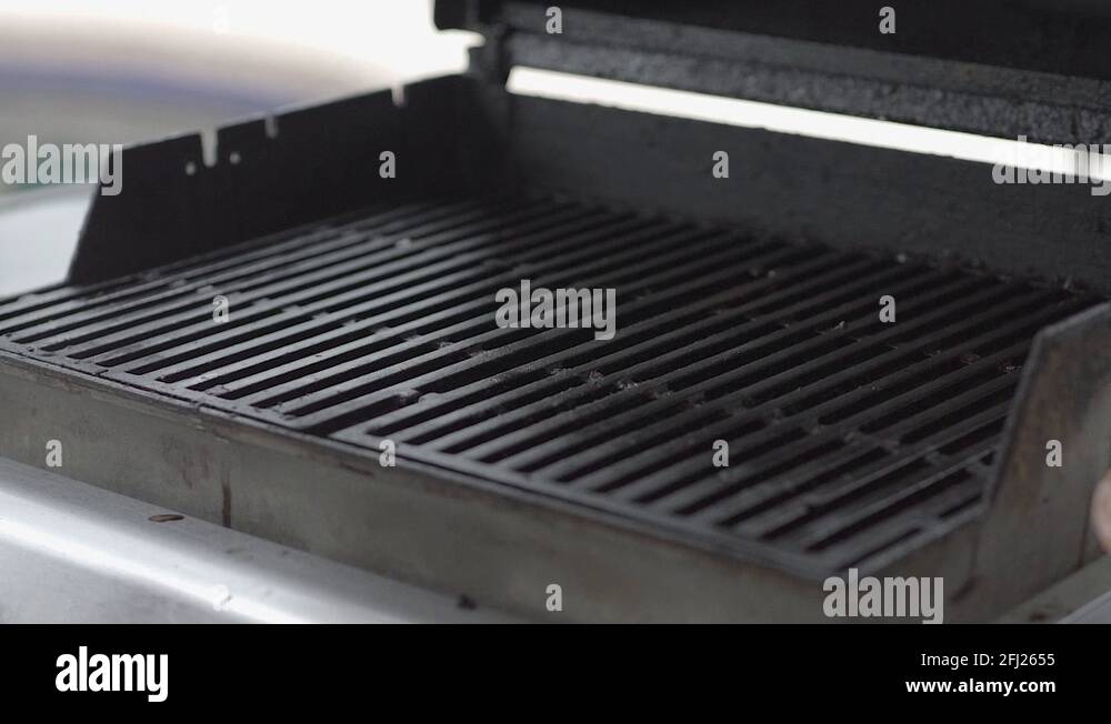 Pam Stock Videos & Footage HD and 4K Video Clips Alamy