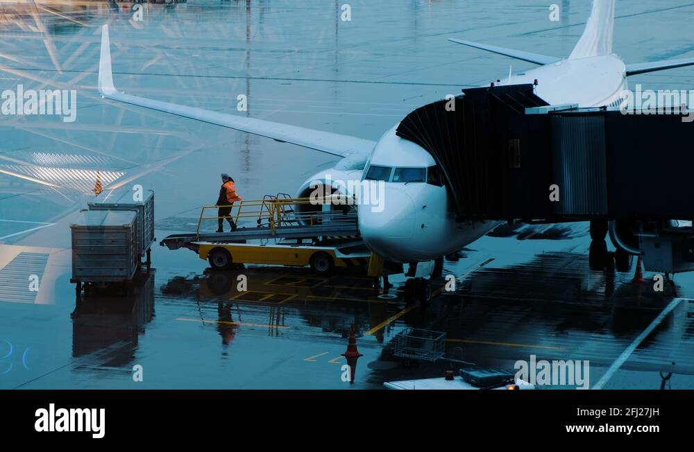 Loaders brought luggage to the conveyor belt of the plane, preparing to load Stock Video Footage