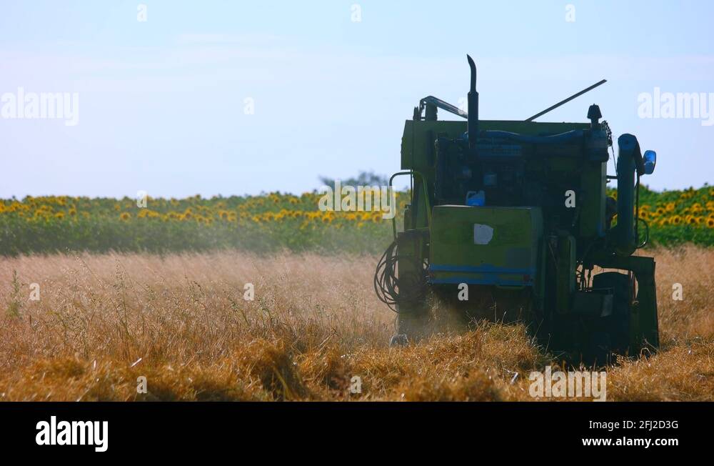 Modern combine harvester Stock Videos & Footage - HD and 4K Video Clips ...