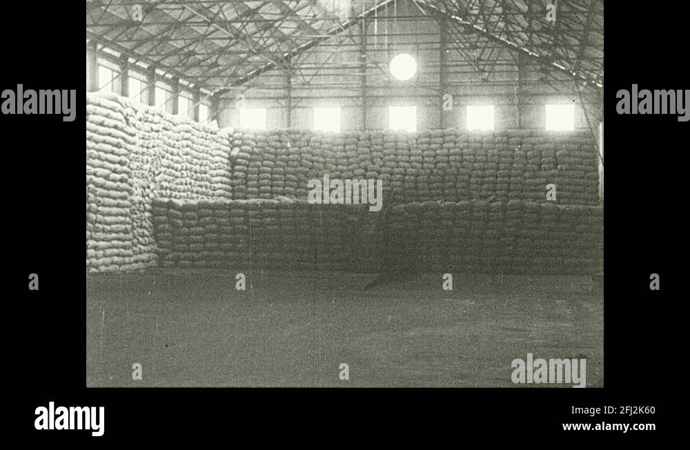 Bags warehouse Stock Videos & Footage HD and 4K Video Clips Alamy