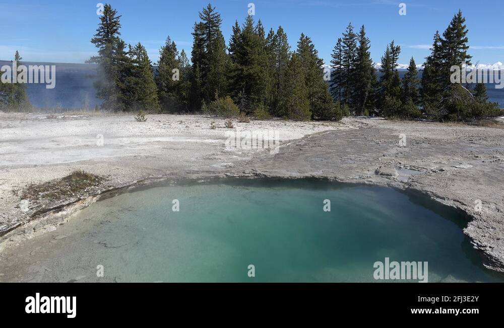 Ledge spring Stock Videos & Footage - HD and 4K Video Clips - Alamy