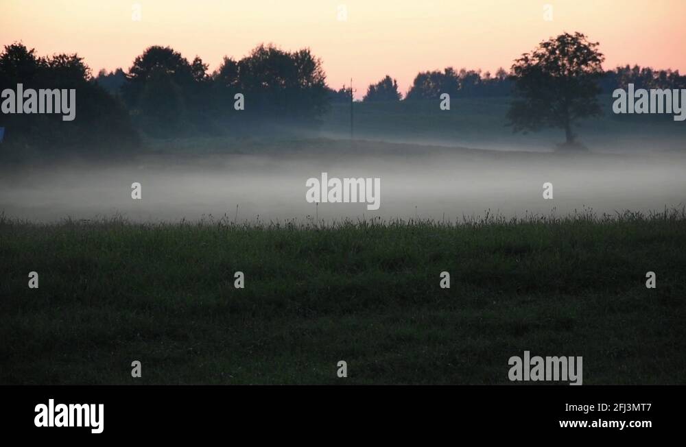 Misting Stock Videos & Footage HD and 4K Video Clips Alamy