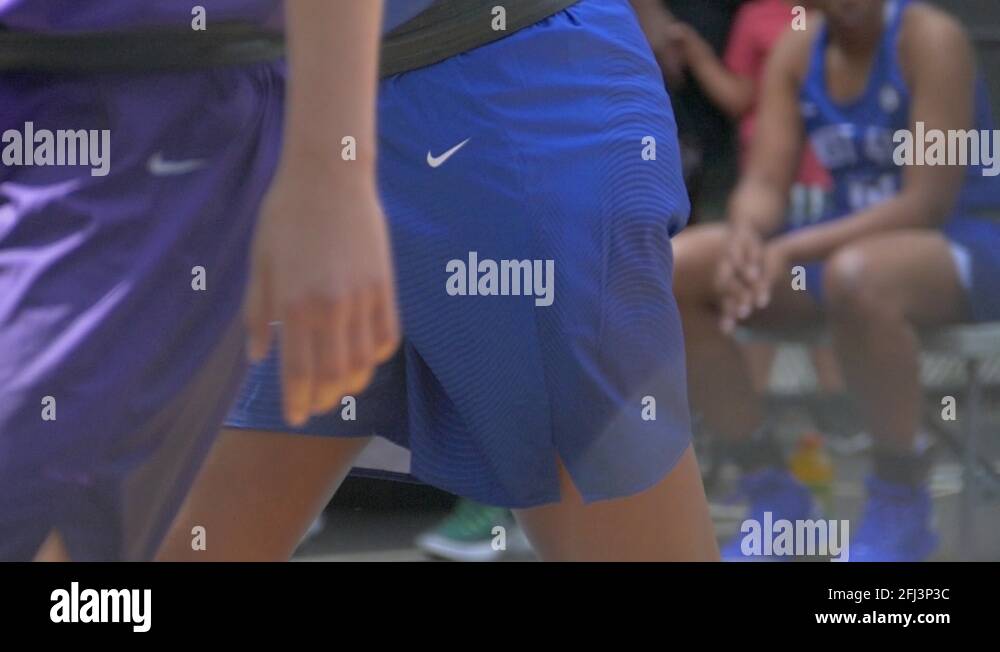 Field cage Stock Videos & Footage HD and 4K Video Clips Alamy