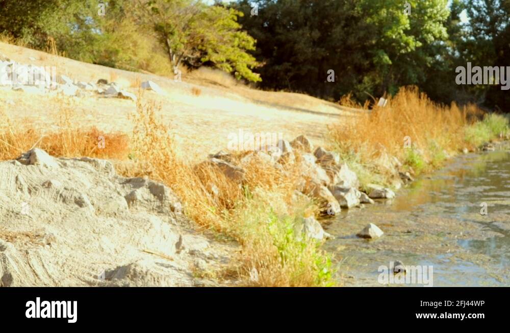 Creek bed Stock Videos & Footage HD and 4K Video Clips Alamy