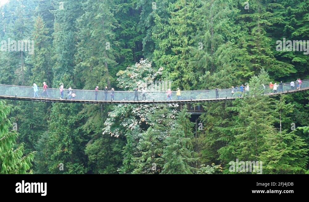 Capilano suspension bridge park Stock Videos & Footage HD and 4K