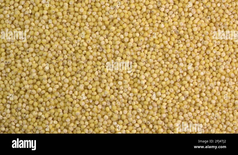 Pseudo grain Stock Videos & Footage HD and 4K Video Clips Alamy