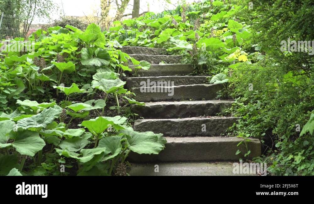 Staircase in garden Stock Videos & Footage HD and 4K Video Clips Alamy — free download