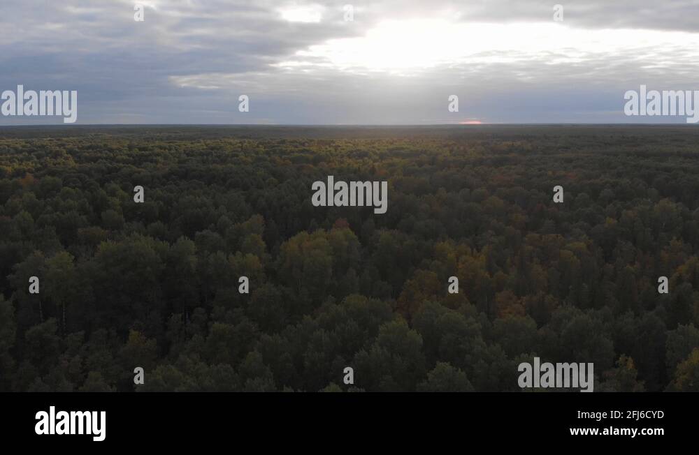 Vasyugan swamp from aerial view. The biggest swamp in the World. Taiga