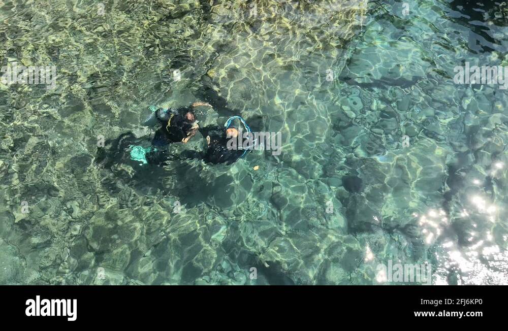 Scuba diver at water surface Stock Videos & Footage HD and 4K Video