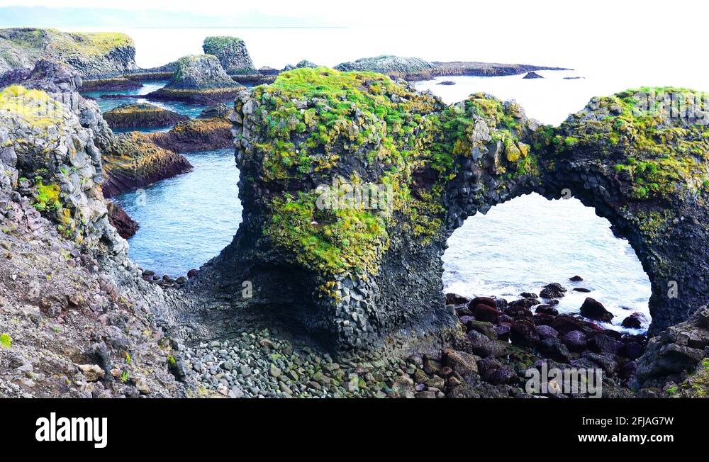Animal arch Stock Videos & Footage - HD and 4K Video Clips - Alamy