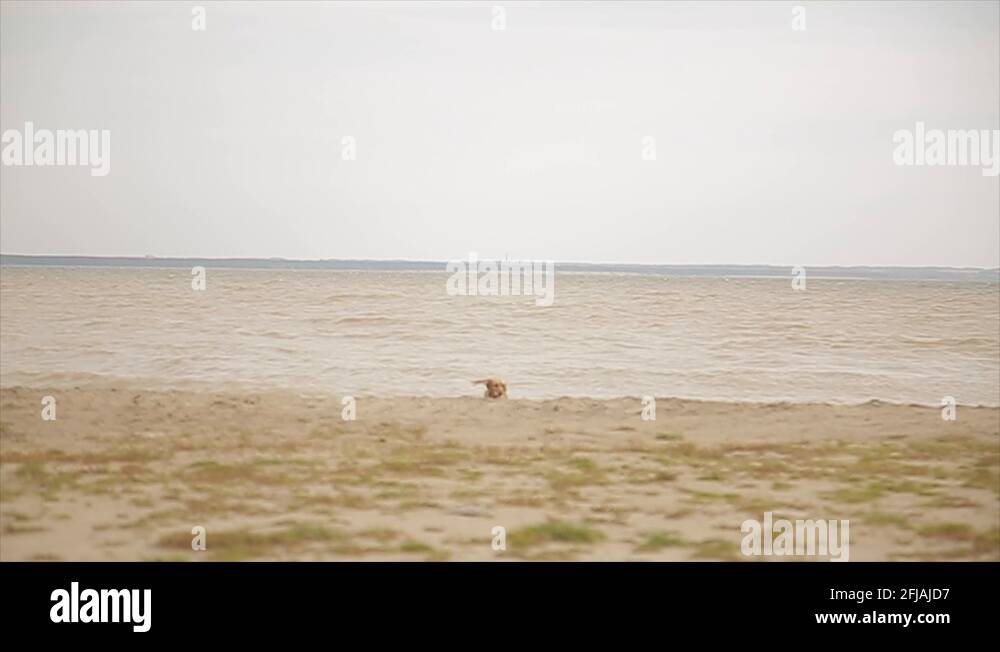 Labrador sea water Stock Videos & Footage HD and 4K Video Clips Alamy