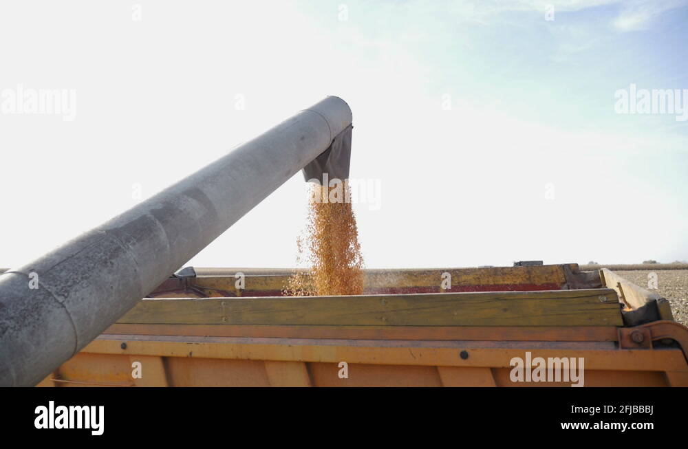 Combine auger Stock Videos & Footage HD and 4K Video Clips Alamy