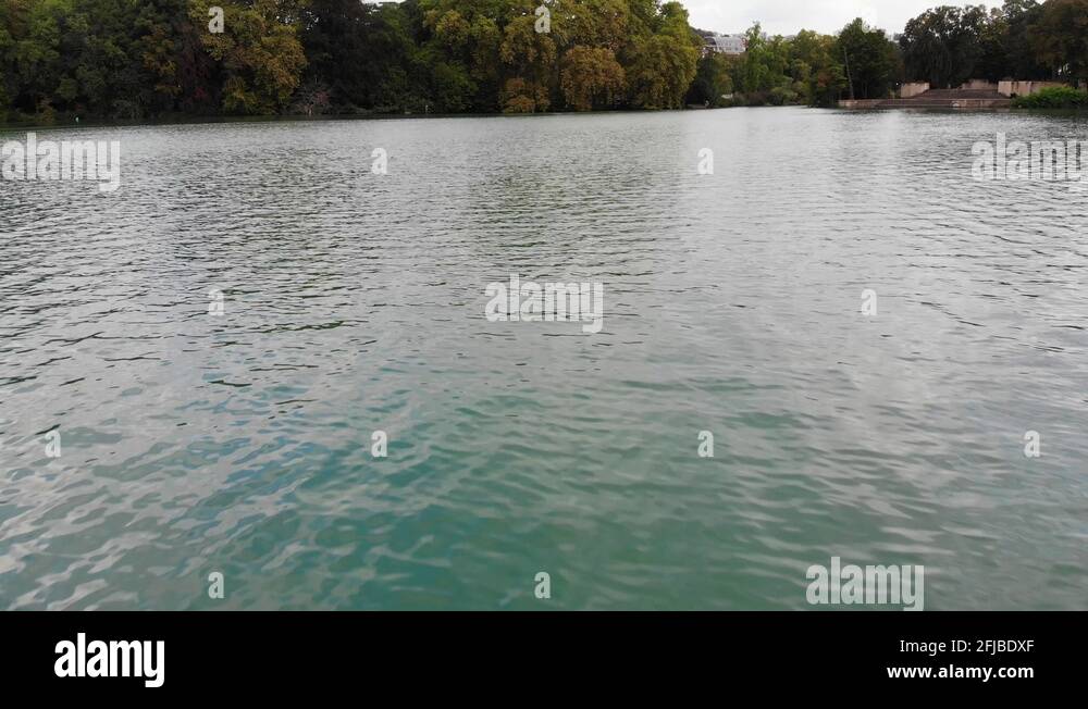 Water skimming Stock Videos & Footage HD and 4K Video Clips Alamy