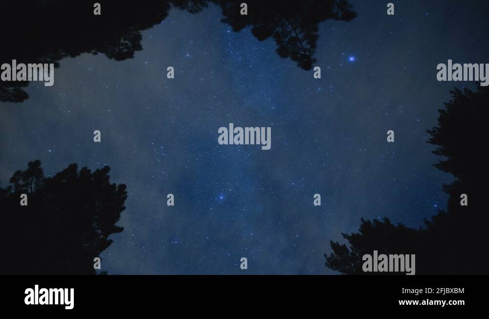 The Milky Way Moving Across the Night Sky with Trees Framing the Scene ...