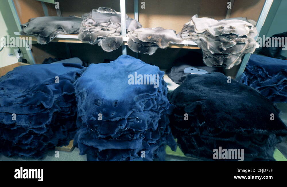Lots of animal skins at a factory. Animal skin for clothes stacked in a