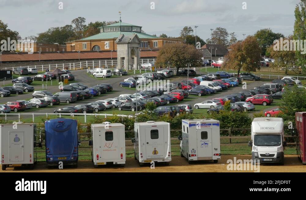 Horse auction newmarket Stock Videos & Footage HD and 4K Video Clips Alamy