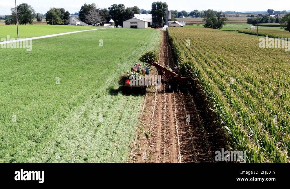 Horse drawn harvester Stock Videos & Footage HD and 4K Video Clips Alamy