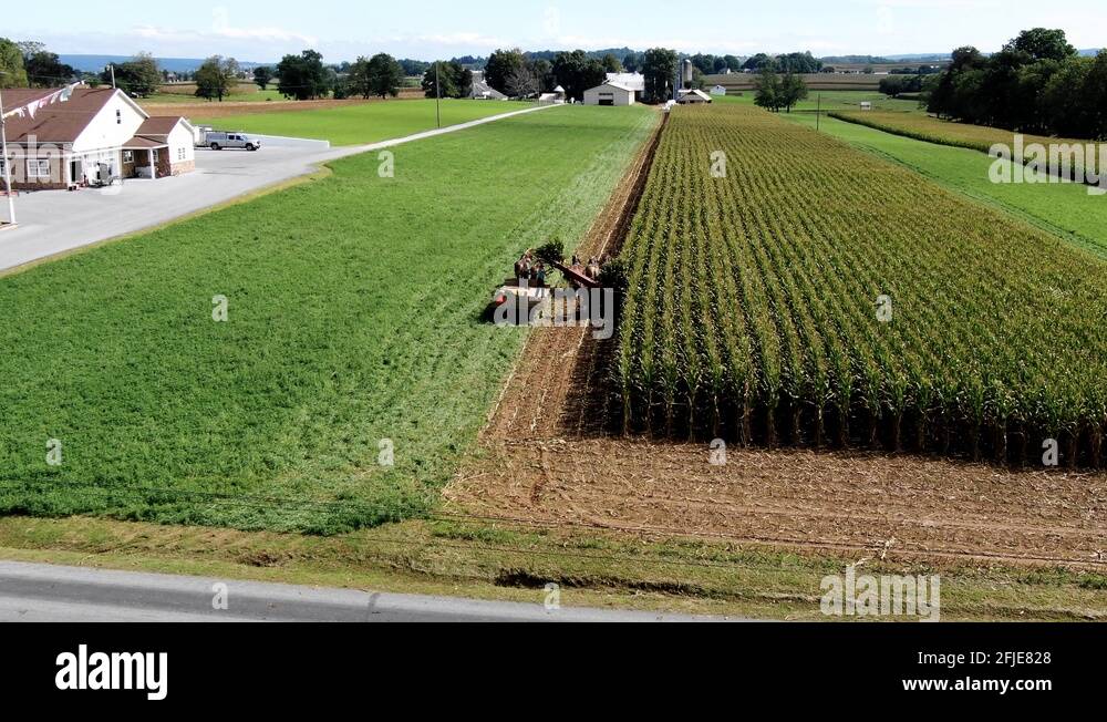 Horse drawn harvester Stock Videos & Footage HD and 4K Video Clips Alamy