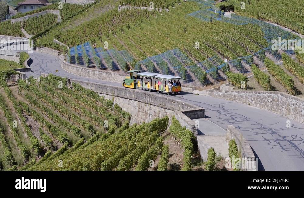 Tourist wine train Stock Videos & Footage - HD and 4K Video Clips - Alamy