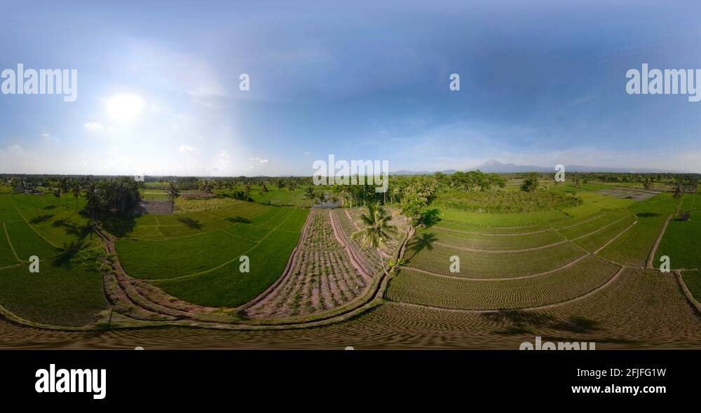 Rice terraces and agricultural land in indonesia vr360 Stock Video
