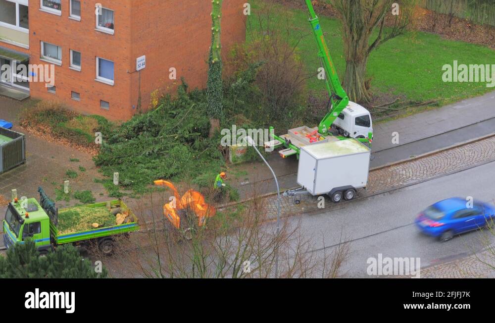 Wood chipping trees Stock Videos & Footage HD and 4K Video Clips Alamy