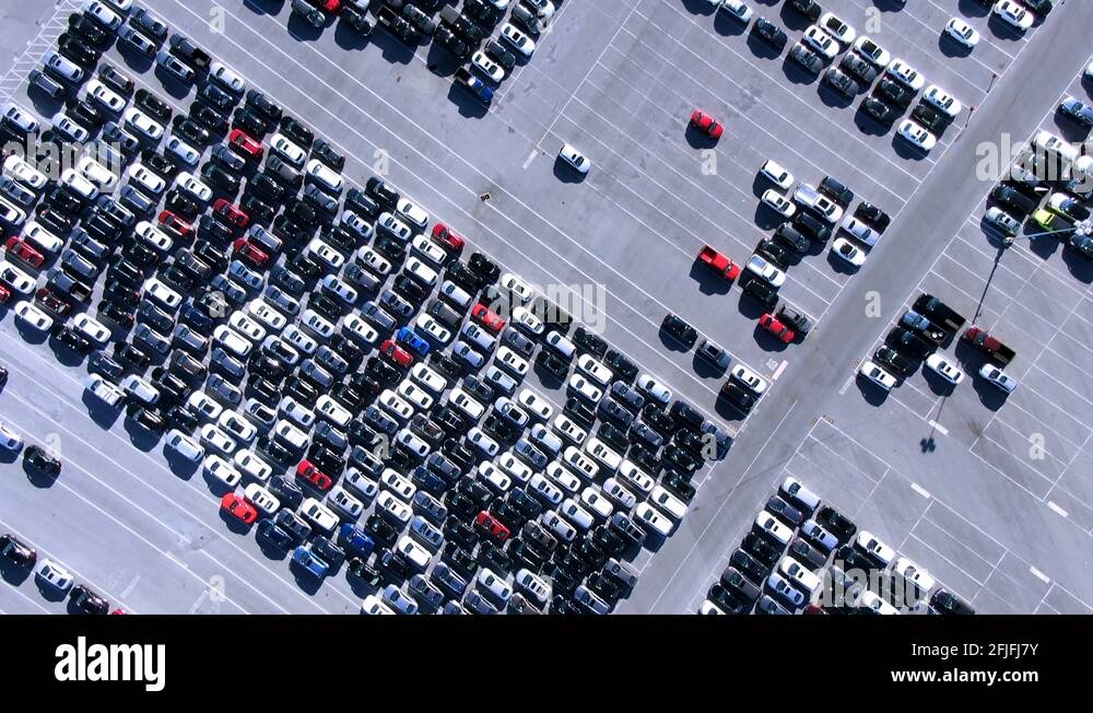 Worlds largest used cars auction packed with hundreds of vehicles in