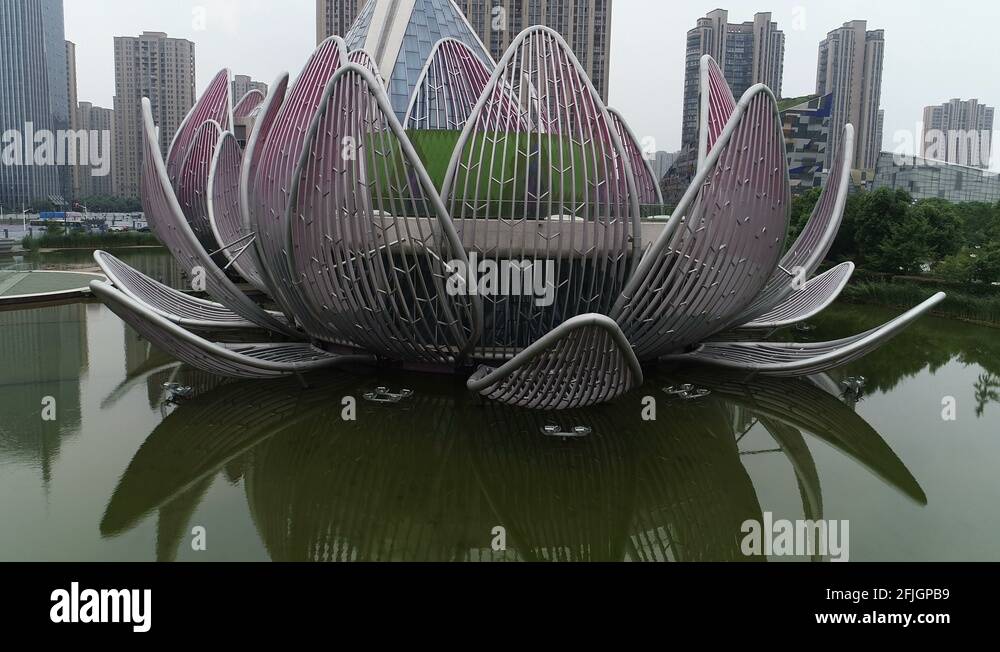 Lotus flower architecture Stock Videos & Footage HD and 4K Video
