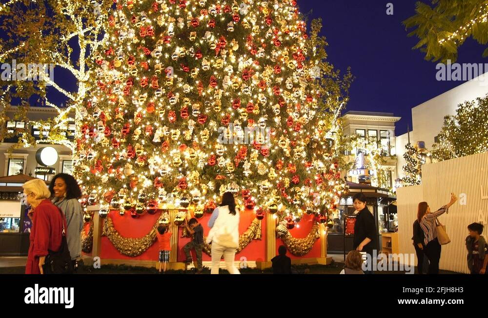 Night view of the big christmas tree in the Grove Stock Video Footage