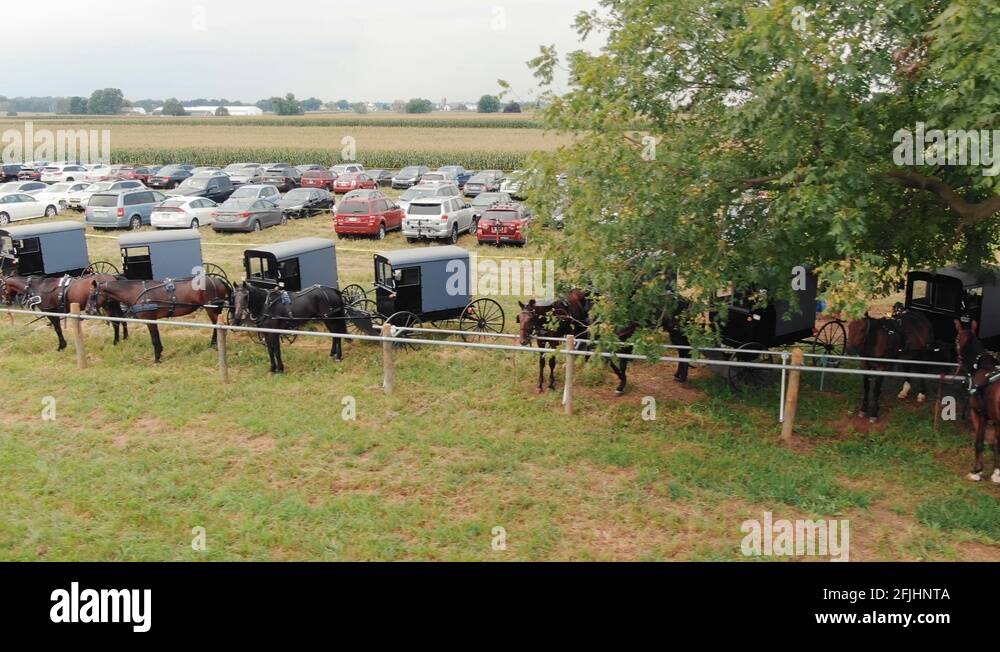 Amish horse buggy in pennsylvania dutch country lancaster county