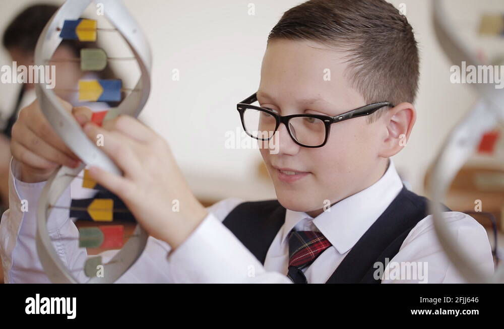 High school students study the structure of the DNA molecule in the