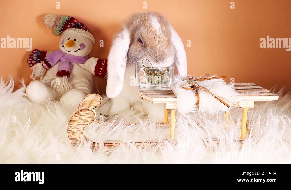 Lop symbol Stock Videos & Footage - HD and 4K Video Clips - Alamy