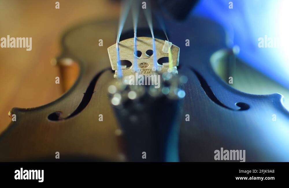 Scroll and pegbox of a wood violin Stock Videos & Footage HD and 4K