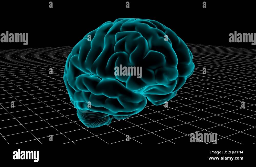 Brain neurotransmitter Stock Videos & Footage - HD and 4K Video Clips ...