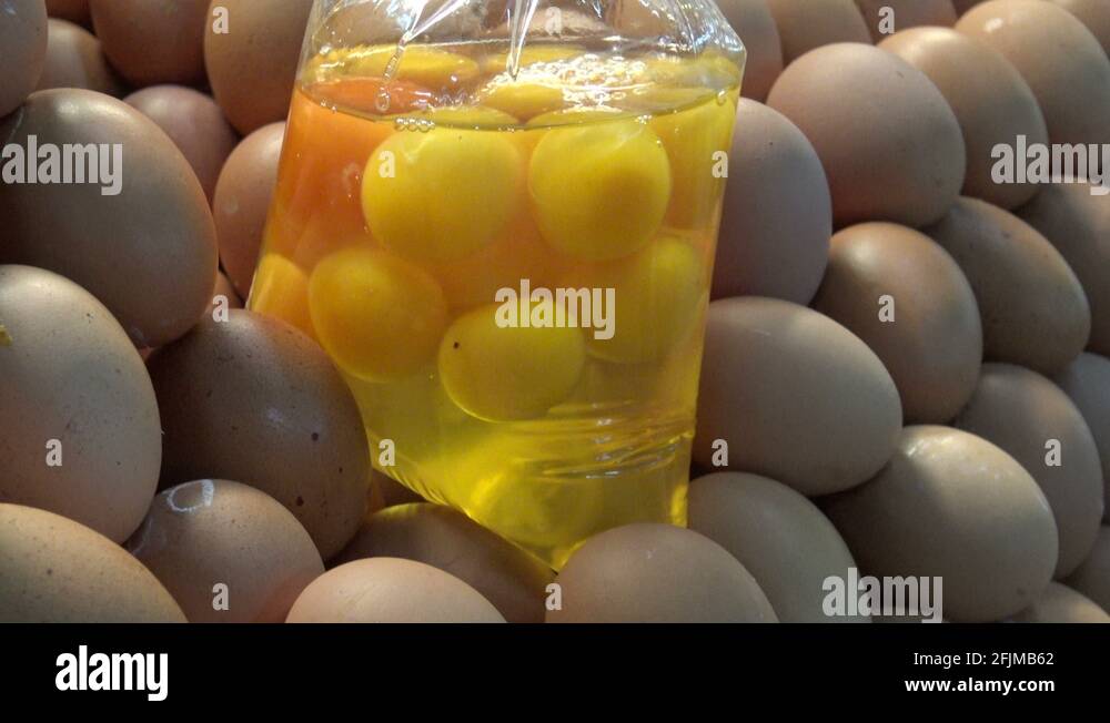 Bag of plastic eggs Stock Videos & Footage HD and 4K Video Clips Alamy