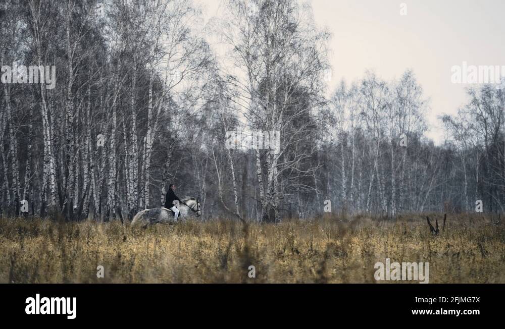 Rider horse riding autumn Stock Videos & Footage - HD and 4K Video ...