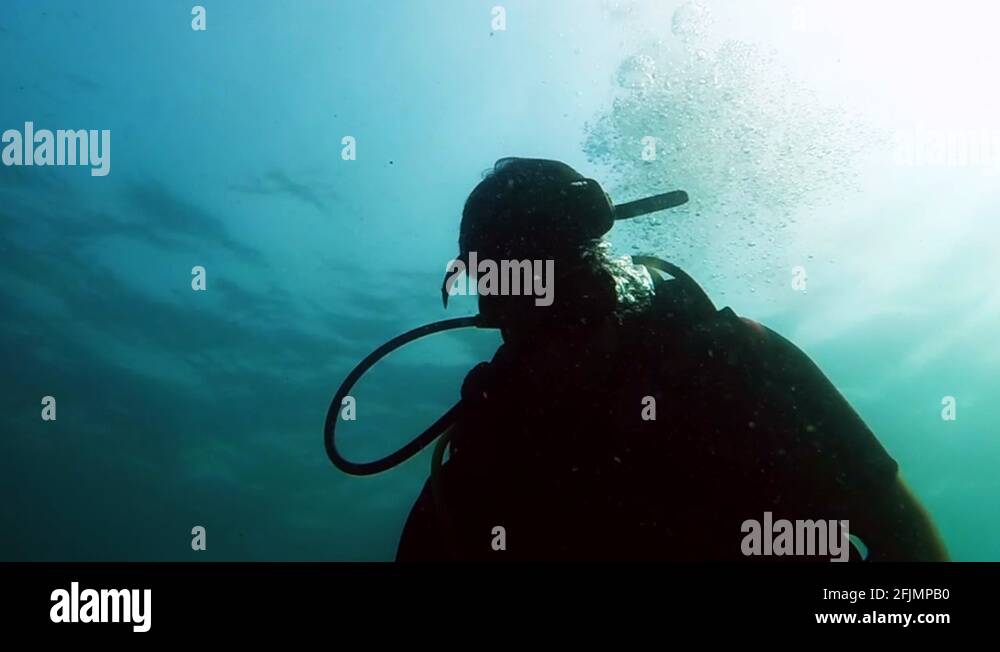 Scuba taucher Stock Videos & Footage HD and 4K Video Clips Alamy