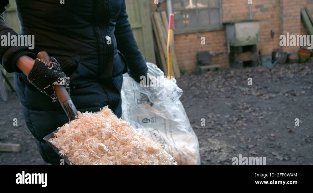 Throwing sawdust in a clean chicken pen Stock Video Footage Alamy