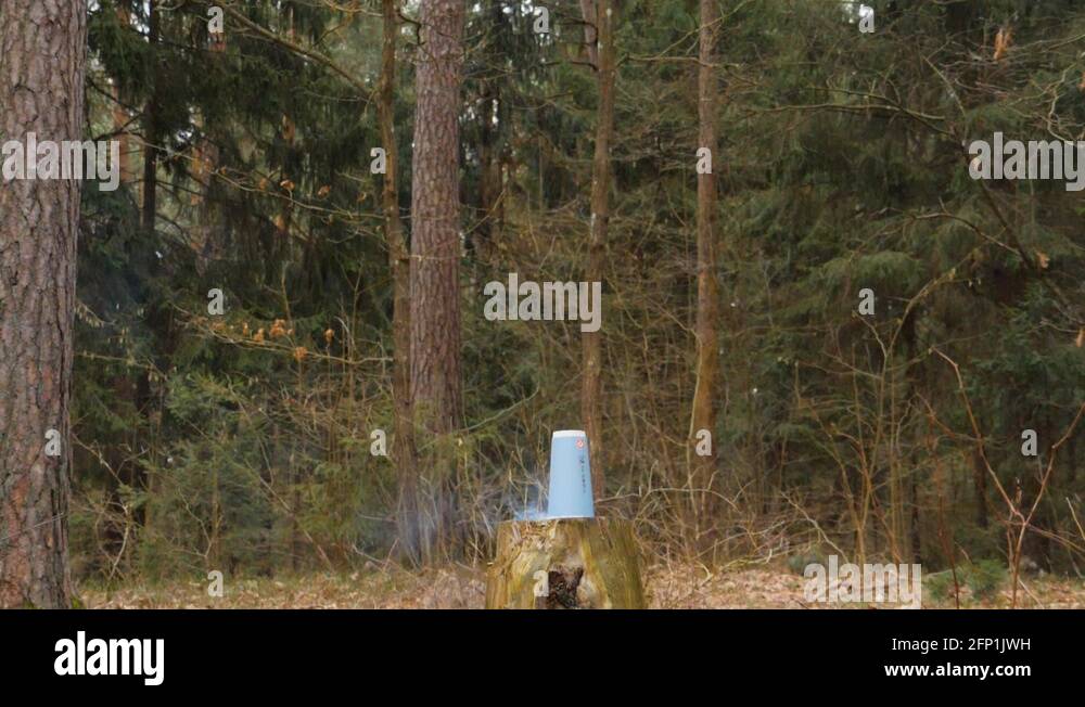 Exploding tree Stock Videos & Footage HD and 4K Video Clips Alamy