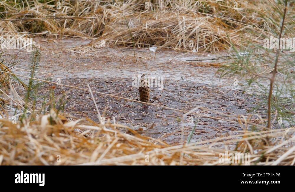 Cone under Stock Videos & Footage - HD and 4K Video Clips - Alamy